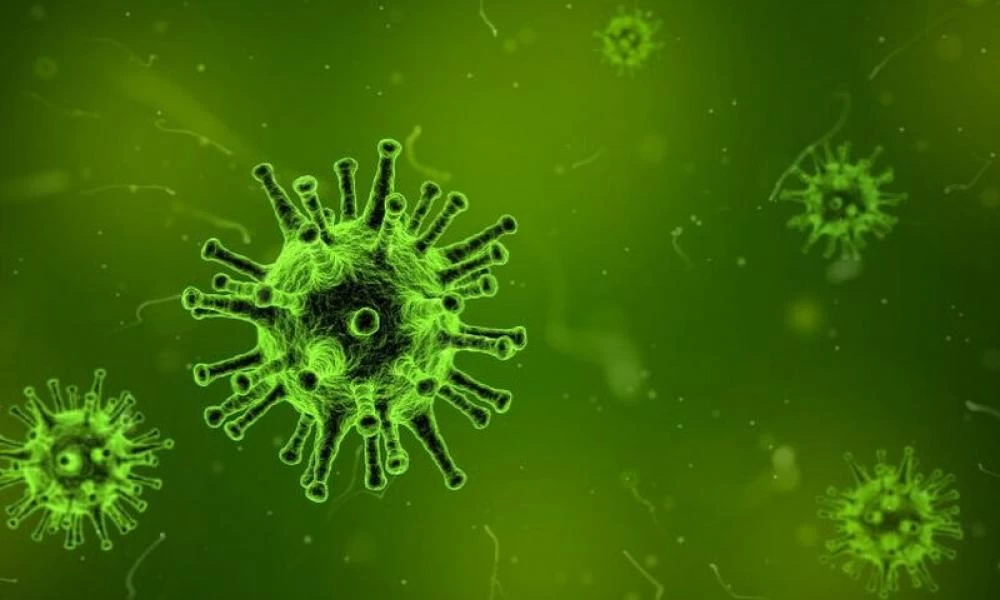 Έρευνα: Ο κορονοϊός μπορεί να επιβιώσει στο ανθρώπινο δέρμα τουλάχιστον για εννέα ώρες